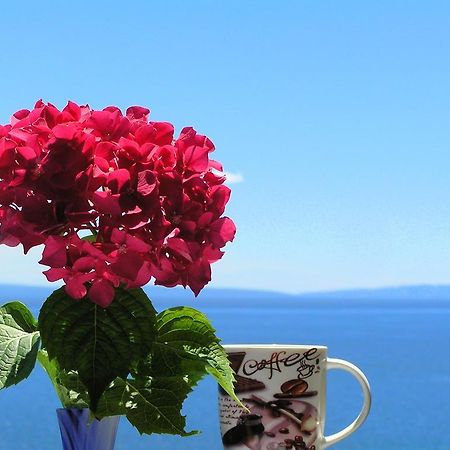 Guest House Lifestyle Holiday Opatija Quarto foto