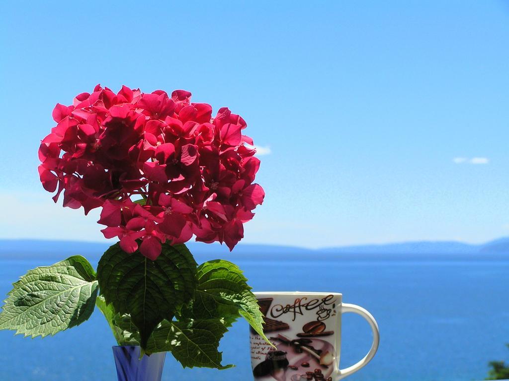 Guest House Lifestyle Holiday Opatija Quarto foto